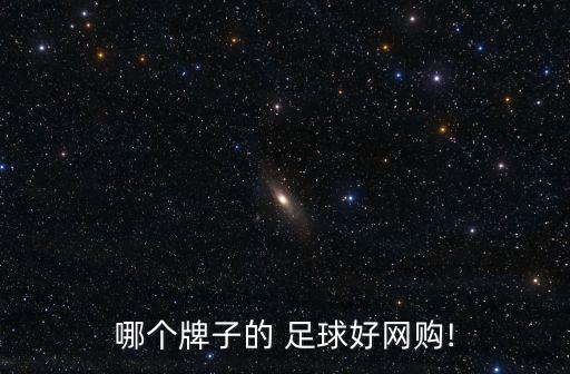 哪個牌子的 足球好網購!