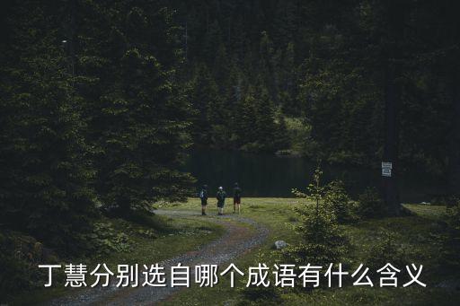 丁慧在哪個隊,杭州丁慧實驗小學是一所高起點現(xiàn)代化小學