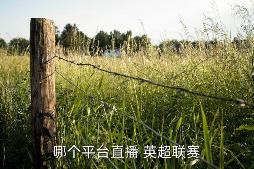 哪個平臺直播 英超聯(lián)賽