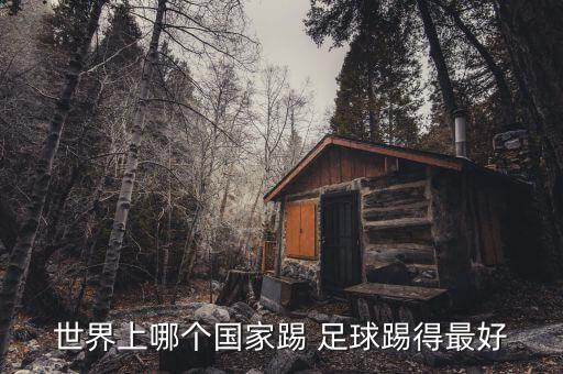 足球哪個聯(lián)盟最好,世界足球歷史最佳球隊巴西奪冠多