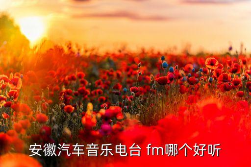 哪個(gè)fm,上航簡介:中國最好的航空公司