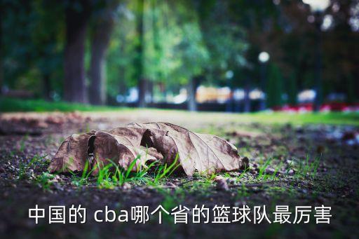 中國(guó)的 cba哪個(gè)省的籃球隊(duì)最厲害