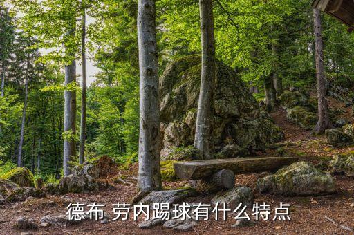 凱文 德布勞內(nèi)踢哪個位置,比利時前國腳德布勞內(nèi)轉(zhuǎn)會尤文圖斯