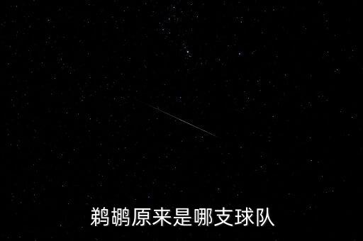 nba鵜鶘原來是哪個(gè)隊(duì),新奧爾良鵜鶘隊(duì)隊(duì)徽揭曉