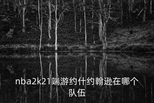 nba2k21端游約什約翰遜在哪個隊伍