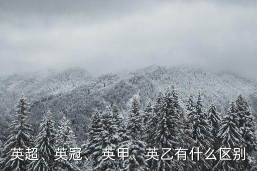 英甲聯(lián)賽哪個隊(duì)伍,足壇消息:英超聯(lián)賽英甲聯(lián)賽全球最高水平