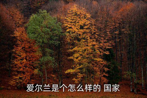 愛爾蘭是個怎么樣的 國家