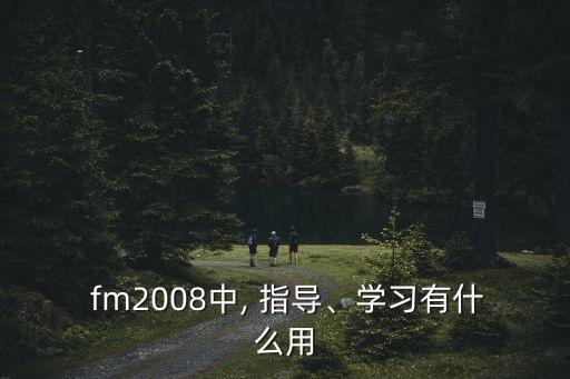  fm2008中, 指導、學習有什么用