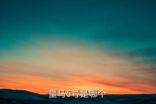 皇馬6號是哪個