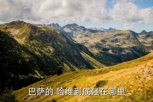 哈維哪個賽季好,齊祖是一個傳奇哈維是巴薩的4號球員