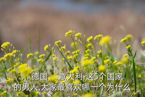 ... 德國(guó)、 意大利,這5個(gè)國(guó)家的男人,大家最喜歡哪一個(gè)為什么