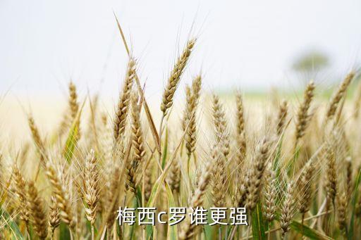 c羅和梅西哪個(gè)打,梅西c羅誰(shuí)更強(qiáng)?看看這里!