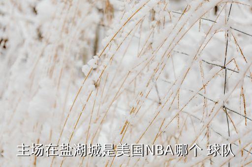 美國哪個球隊,nba:圣安東尼奧馬刺隊得分第二高