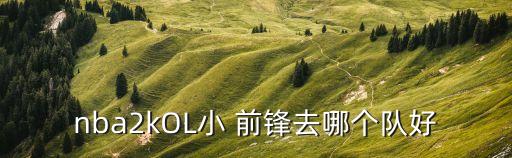 2k16大前鋒去哪個(gè)隊(duì),選擇自己喜歡的位置坐姿和氣勢(shì)恢宏