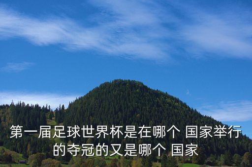 第一屆足球世界杯是在哪個 國家舉行的奪冠的又是哪個 國家