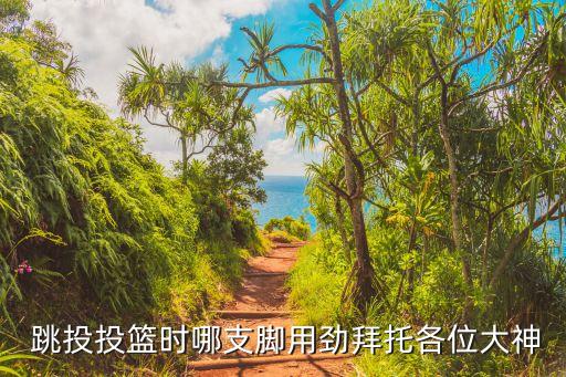 跳投投籃時哪支腳用勁拜托各位大神