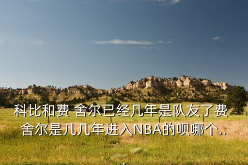 科比和費(fèi) 舍爾已經(jīng)幾年是隊友了費(fèi) 舍爾是幾幾年進(jìn)入NBA的唄哪個...