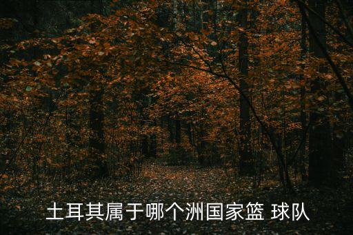  土耳其屬于哪個(gè)洲國(guó)家籃 球隊(duì)