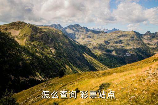 彩票都是哪個網(wǎng)址買的,彩票網(wǎng)站可查看實(shí)時結(jié)果了解投注情況