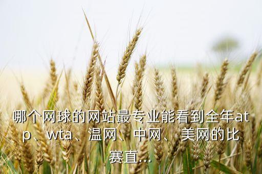哪個網(wǎng)球的網(wǎng)站最專業(yè)能看到全年atp、wta、溫網(wǎng)、中網(wǎng)、 美網(wǎng)的比賽直...
