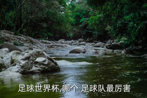  足球世界杯,哪個 足球隊最厲害