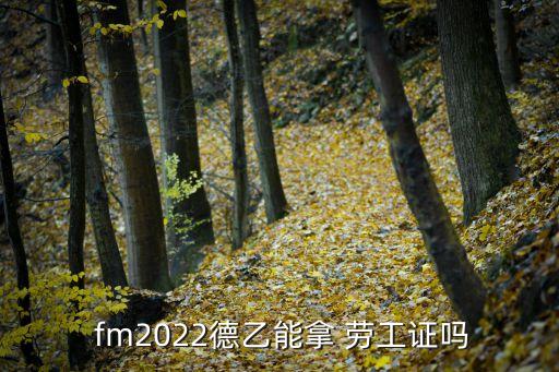 fm勞工證哪個(gè)國(guó)家最快,在英國(guó)踢球的球員可以申請(qǐng)勞工證書!
