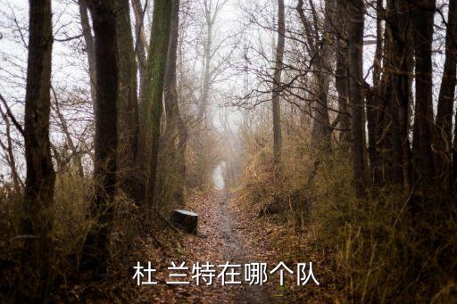 杜 蘭特在哪個(gè)隊(duì)