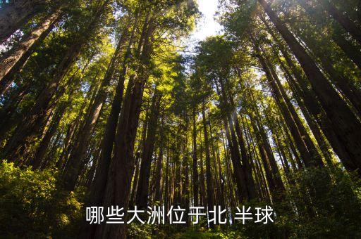 海地在哪個半球,武漢出現(xiàn)確診病例中國已展開調(diào)查