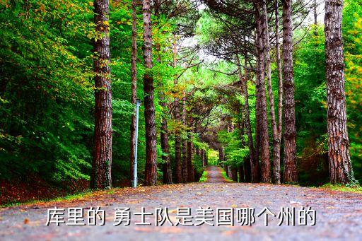庫(kù)里的 勇士隊(duì)是美國(guó)哪個(gè)州的