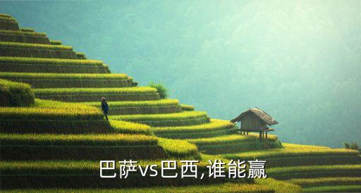 哪個(gè)國(guó)家隊(duì)能打贏巴薩,對(duì)陣巴薩毫無疑問巴西會(huì)贏