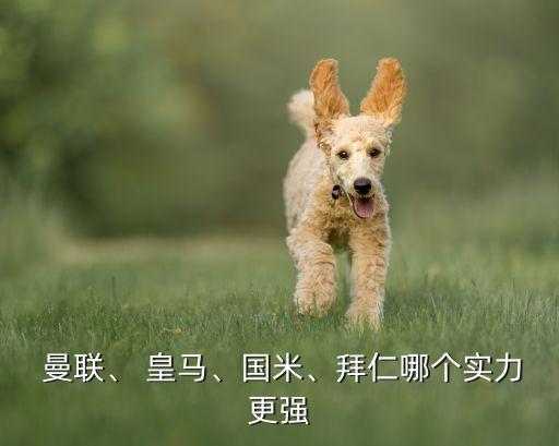  曼聯(lián)、 皇馬、國米、拜仁哪個實力更強