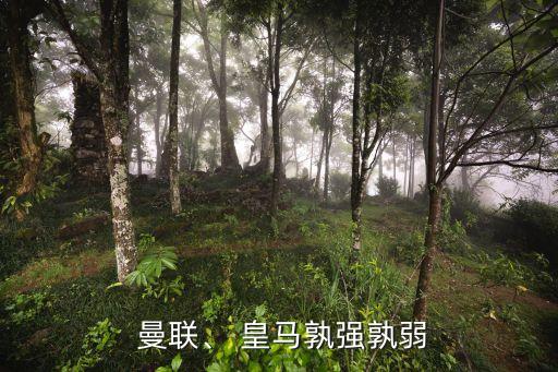  曼聯(lián)、 皇馬孰強(qiáng)孰弱