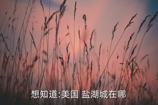 美國(guó)鹽湖城位于哪個(gè)半球,湖鹽城是美國(guó)猶他州首府和最大城市