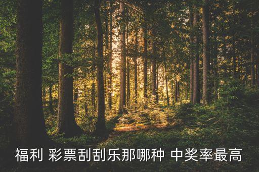 彩票哪個中獎率高,彩票機選高達自選中獎率大于七星彩