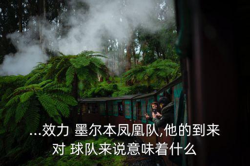 ...效力 墨爾本鳳凰隊(duì),他的到來對(duì) 球隊(duì)來說意味著什么