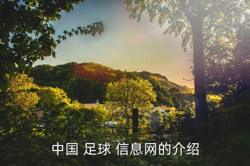 中國(guó) 足球 信息網(wǎng)的介紹