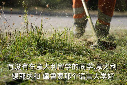 錫耶納佩魯賈哪個好,中國學生學意大利語可在錫耶納考一次