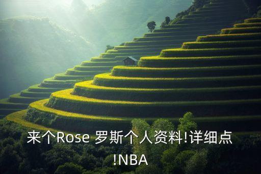 來(lái)個(gè)Rose 羅斯個(gè)人資料!詳細(xì)點(diǎn)!NBA