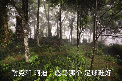  耐克和 阿迪、彪馬哪個 足球鞋好