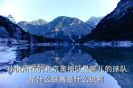 孫悅在哪個(gè)俱樂部,中國籃球男籃孫悅的職業(yè)生涯