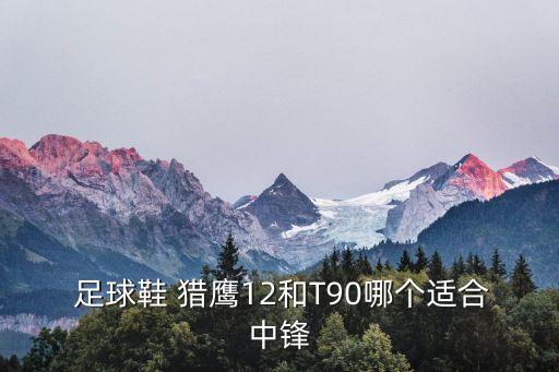 獵鷹足球鞋哪個(gè)比較好,阿茲敏陣營推出獵鷹系列鞋子網(wǎng)民熱議