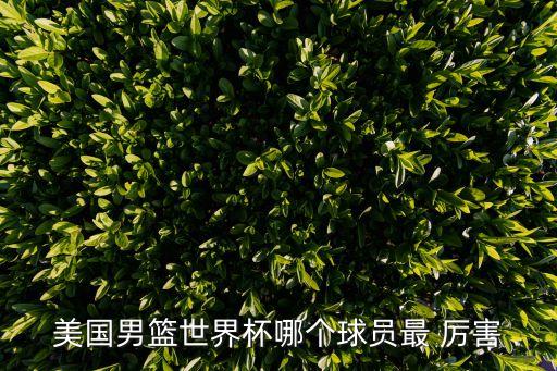 美國(guó)男籃世界杯哪個(gè)球員最 厲害