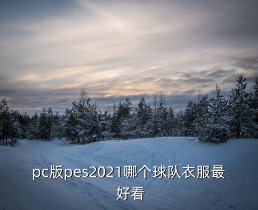 pc版pes2021哪個球隊衣服最 好看