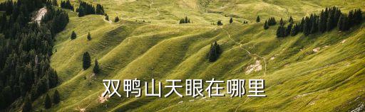  雙鴨山天眼在哪里