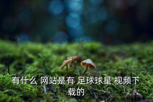 足球視頻有哪個網站,意甲聯(lián)賽:尤文圖斯奪得冠軍