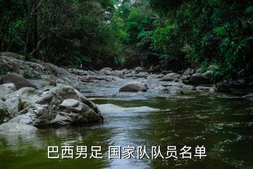 弗拉門(mén)戈是哪個(gè)國(guó)家的球隊(duì),巴西足球隊(duì)成功復(fù)出打入世界杯決賽