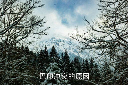 河床5巴勒斯坦人哪個(gè)隊(duì)強(qiáng),以色列和巴基斯坦從來沒有打過仗