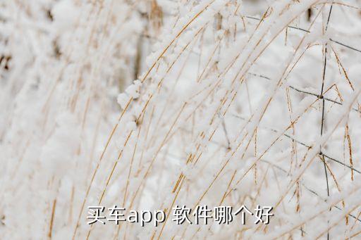 時時彩分車軟件哪個好,汽車之家app汽車最準(zhǔn)確報價強(qiáng)烈推薦