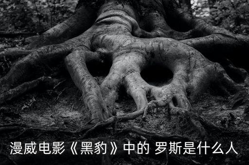 2016羅斯在哪個(gè)對(duì),舉重世錦賽羅斯塔米打破世界紀(jì)錄
