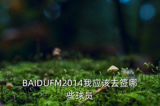 fm2014哪個(gè)隊(duì)好玩,足壇消息:中游球隊(duì)開檔就能買到!